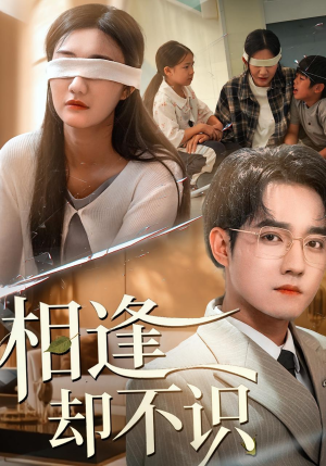 相逢却不识（77集）精彩短剧来了