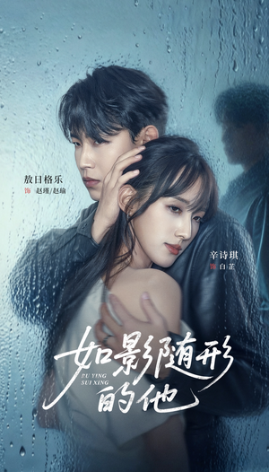 如影随形的他（30集）爆火短剧抢先看