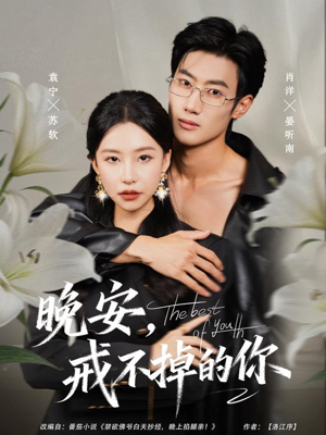 晚安，戒不掉的你（68集）免费短剧看不停