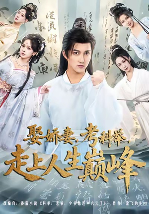 娶娇妻,考科举,走上人生巅峰(80集) 娶娇妻,考科举,走上人生巅峰(80集)热门爆款短剧