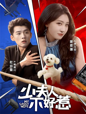 少夫人不好惹（61集）热播古装短剧