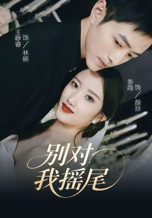 别对我摇尾（59集）短剧排行榜