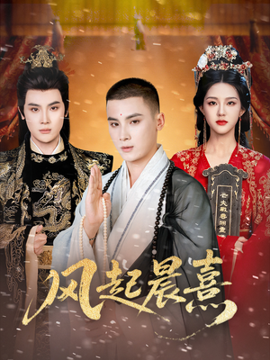 风起晨熹（63集）看到大结局