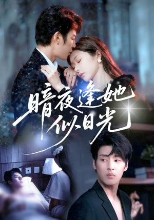 暗夜逢她似日光（72集）海量短剧免费看