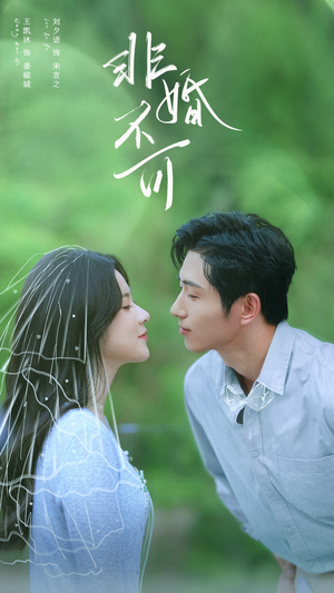 非婚不可（65集）短剧排行榜