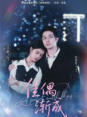 佳偶渐成(71集) 佳偶渐成(71集)免费观看