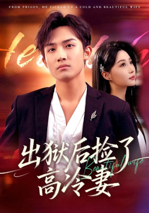 出狱后捡了高冷妻（71集）全集