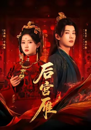 后宫雁（60集）每日短剧追不停