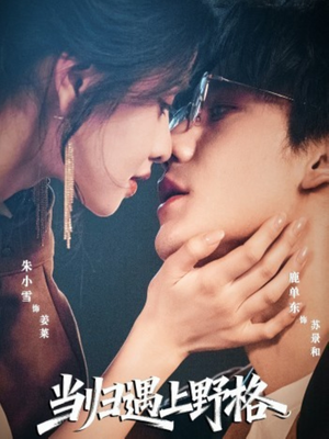 当归遇上野格(66集) 当归遇上野格(66集)夸克网盘观看