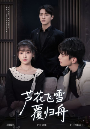 芦花飞雪覆归舟（77集）怎么看全集