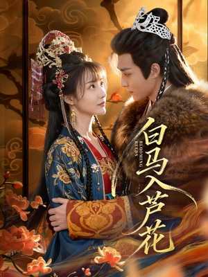 白马入芦花(59集) 白马入芦花(59集)追短剧看全集