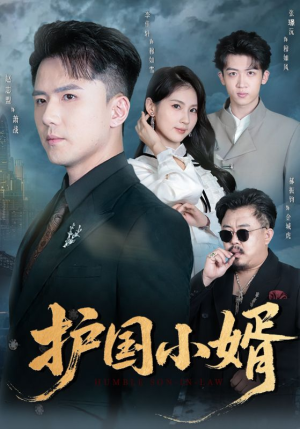 护国小婿（60集）好看短剧抢先看