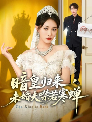 暗皇归来，未婚夫噤若寒蝉（65集）爆款短剧追不停