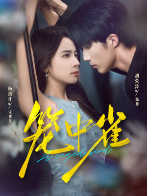 笼中雀(65集) 笼中雀(65集)更新时间一览表