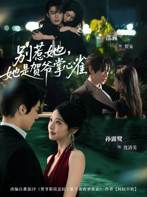 别惹她，她是贺爷掌心雀（69集）在线观看全集