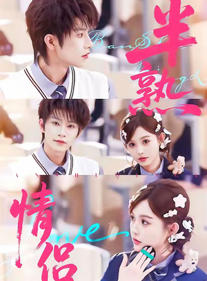 半熟情侣（85集）全集