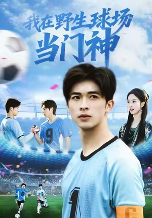 我在野生球场当门神(31集) 我在野生球场当门神(31集)在线看到大结局