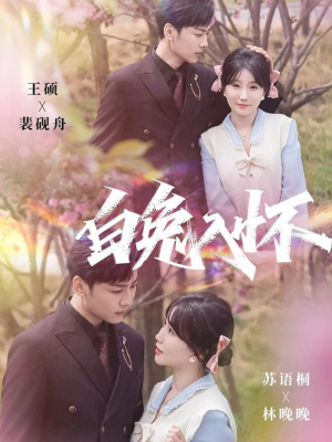 白兔入怀（60集）超好看古装短剧