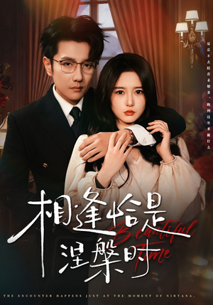 相逢恰是涅槃时（63集）短剧解说全集