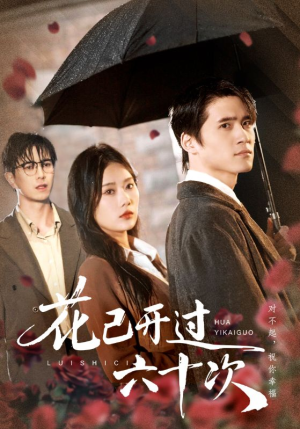 情敌交手她选择躺赢（72集）最火爆短剧