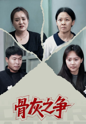 骨灰之争（30集）完整版免费观看