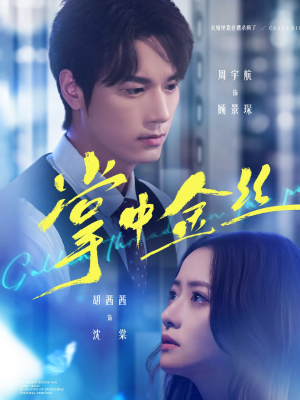 长姐她竟是隐藏大佬(60集) 长姐她竟是隐藏大佬(60集)古装短剧热播