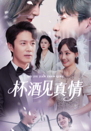 杯酒见真情(68集) 杯酒见真情(68集)短剧在线看