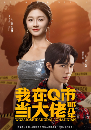 我在Q市当大佬那几年（80集）免费版