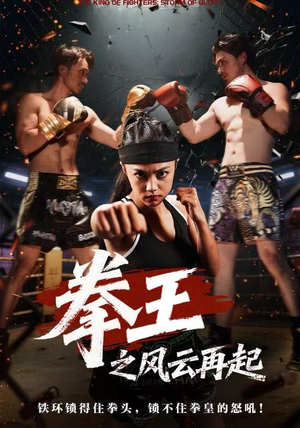 拳王之风云再起(50集) 拳王之风云再起(50集)短剧免费观看