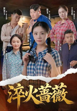 淬火蔷薇（50集）海量资源免费看