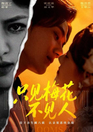 只见梅花不见人(63集) 只见梅花不见人(63集)在哪个平台能看