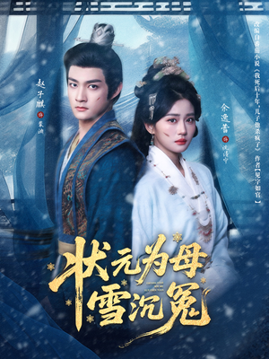 状元为母雪沉冤（58集）口碑之选免费看