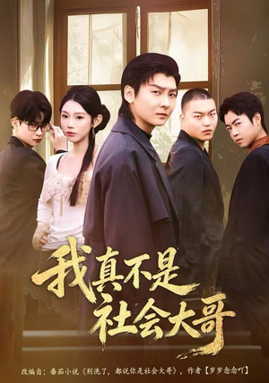 我真不是社会大哥（80集）短剧追不停