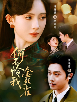 何不怜我金丝雀（60集）好看吗