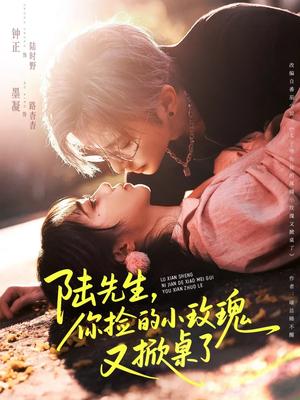 陆先生，你捡的小玫瑰又掀桌了（74集）全集在线看