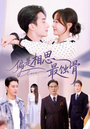 烬爱无归处（70集）全网独播免费看