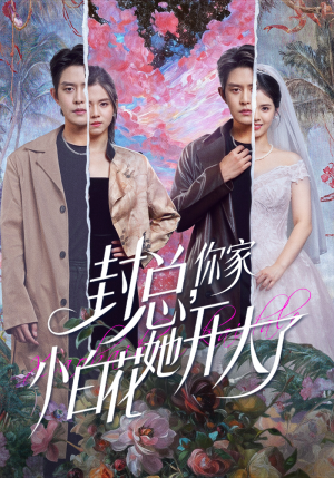 封总,你家小白花她开大了(60集) 封总,你家小白花她开大了(60集)短剧分享剧集