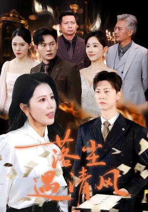 离婚而已（74集）热门短剧追到爽