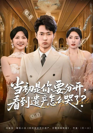 当初是你要分开，看到遗产怎么哭了？（70集）热门短剧在线看