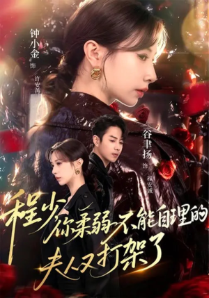 程少你柔弱不能自理的夫人又打架了（60集）免费短剧看不停