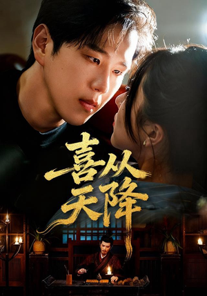 喜从天降（50集）去哪里看