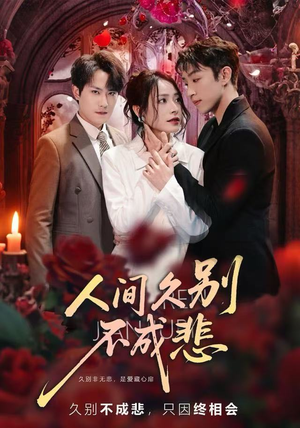人间久别不成悲（80集）火爆热门短剧