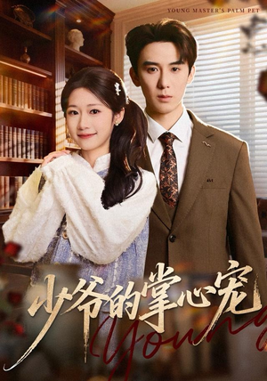 少爷的掌心宠（80集）热门火爆短剧
