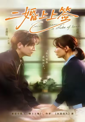 二婚上上签（71集）超好看的短剧