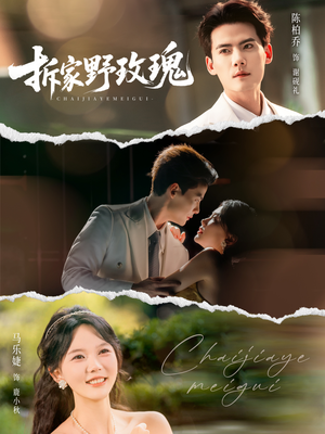 拆家野玫瑰（80集）女主角是谁