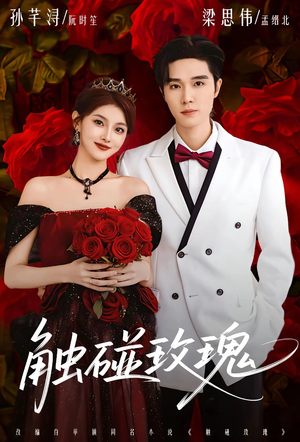 触碰玫瑰（80集）最火的短剧