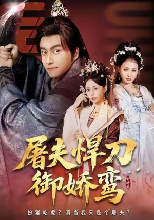 屠夫悍刀御娇鸾（81集）夸克在线观看