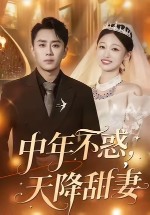 中年不惑，天降甜妻（60集）夸克网盘观看
