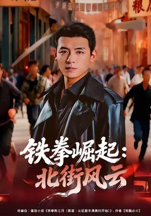 铁拳崛起:北街风云(80集) 铁拳崛起:北街风云(80集)大结局完美收官