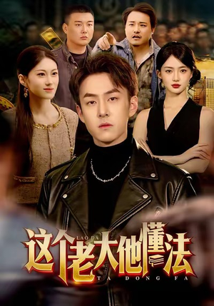 这个老大他懂法（100集）热门短剧追到爽